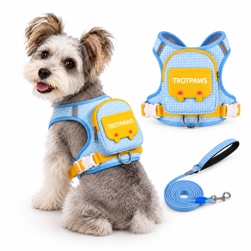 Mochila adorable para perro