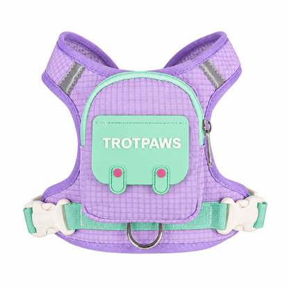 Mochila adorable para perro